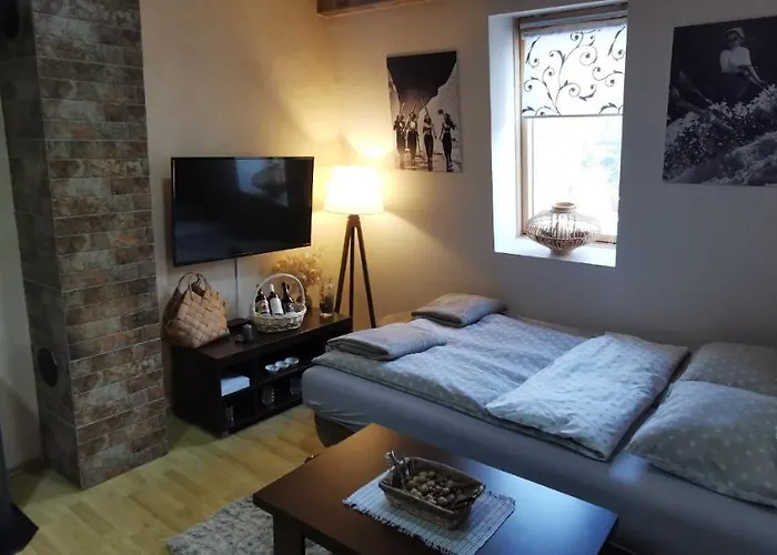 Apartman Spirit Of Vlasic
