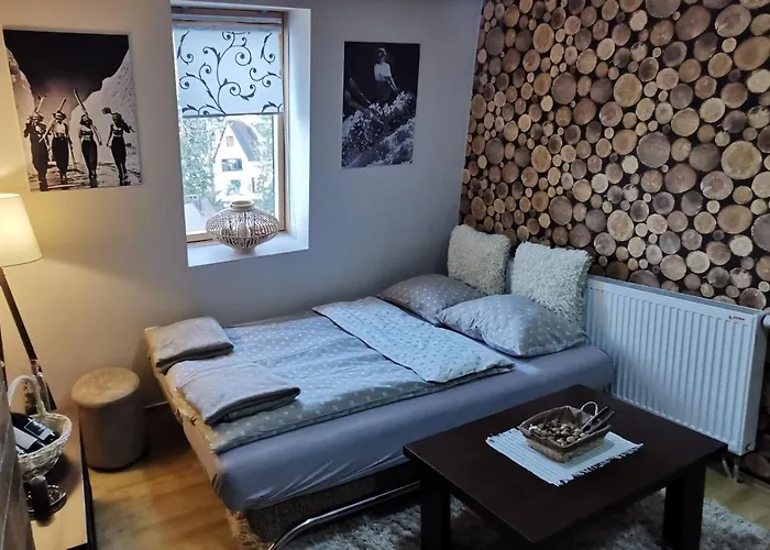 Apartman Spirit Of Vlasic